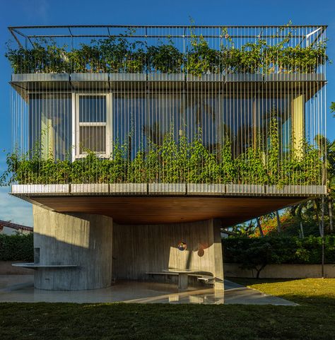 Christian Wassmann uses sun's path to shape Miami bungalow extension | Dezeen Christian Wassmann, Sun Path, 1930s Bungalow, Bungalow Extensions, Green Facade, Miami Houses, Green Architecture, Design Exterior, The Balcony