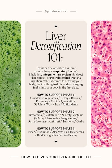 Healthy Liver Diet, Probiotics Prebiotics, Heal Liver, Liver Care, Kidney Detox, Liver Diet, Liver Detoxification, Liver Support, Healing Waters