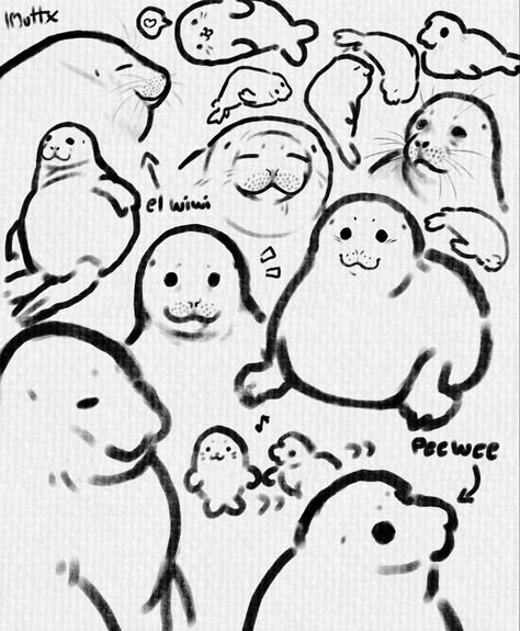 Cute Seals Drawing, Cute Seal Art, How To Draw A Seal, Seals Drawing, Cute Seal Drawing, Seal Sketch, Sea Lion Art, Seal Drawing, Sea Creatures Drawing