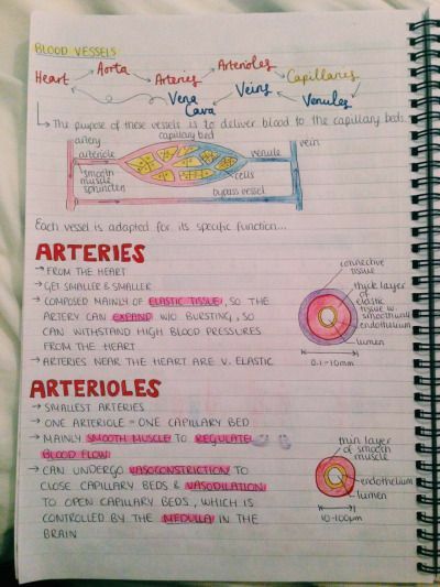 Biology Pictures, Memes Nursing, Cardiology Notes, Med Notes, Nursing Pictures, Medical Assistant Student, Funny Nursing, Study Biology, Nurse Study Notes