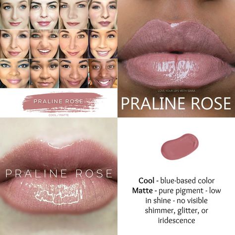 Praline Rose Lipsense Praline Rose Lipsense, Lipsense Lip Colors, Lipsense Gloss, Makeup Help, Shampoo Hair, Business Concept, Hair Treatments, Soft Autumn, Hair Fall