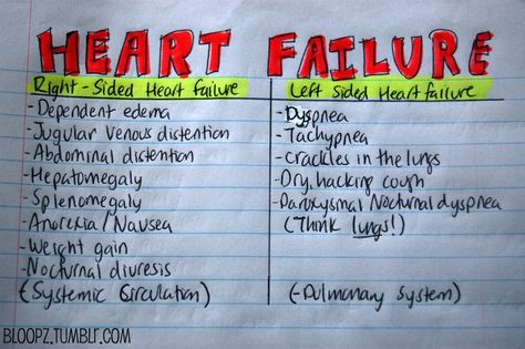 Here is an upload of my personal notes of signs and symptoms of Heart Failure (left and right-sided). Paramedic School, Nursing Board, Nursing Mnemonics, Cardiac Nursing, Nursing School Survival, Nursing School Studying, Nursing School Tips, Nursing School Notes, Medical School Studying