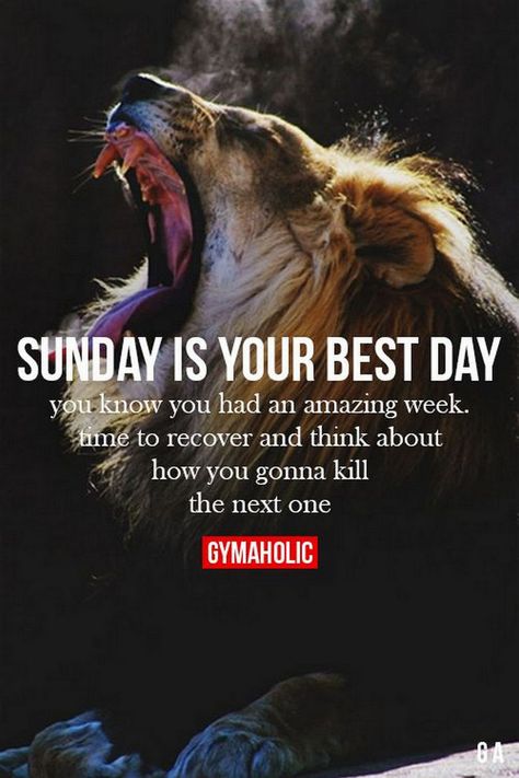 People who are motivated by achievement desire to improve skills and prove their competency to themselves and others. It can be an internal desire to strive for personal accomplishment or a search for positive feedback or recognition from others. If you're motivated by achievement and recognition f Sunday Workout, Sunday Quotes, Gym Quote, Motivation Fitness, Gym Humor, Sport Motivation, A Lion, Fitness Motivation Quotes, New Energy