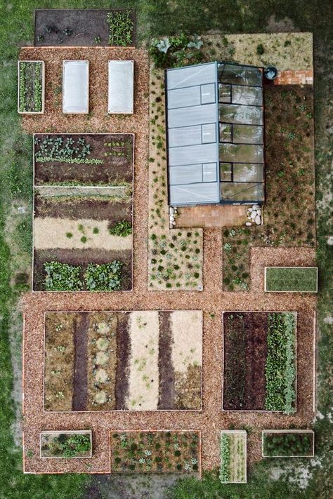 Plantarea Legumelor, Garden Area, Veg Garden, Garden Greenhouse, Have Inspiration, Greenhouse Gardening, Vegetable Garden Design, Community Gardening, Garden Layout