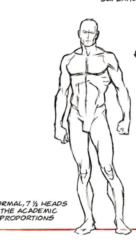 Male Porpotion Drawing, Guy Standing Drawing Reference, Masculine Pose Reference, Male Standing Pose Reference, Male Art Reference, Human Body Drawing, Shadow Drawing, Comic Face, Human Figure Sketches