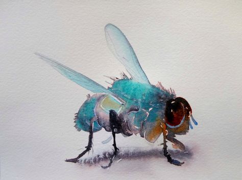 Fly Painting, Insect Art, Acrylic Artwork, Bee Art, Spring Art, Watercolor Inspiration, Watercolor Animals, Wildlife Art, Watercolor And Ink