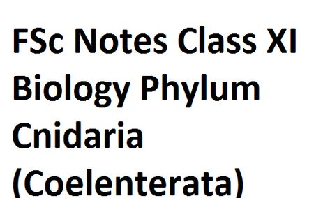 FSc Notes Class XI Biology Phylum Cnidaria (Coelenterata) fscnotes0 Phylum Cnidaria Notes, Cnidaria, C Note, Past Papers, Organization Planning, Java, Biology, Short Stories, Grammar