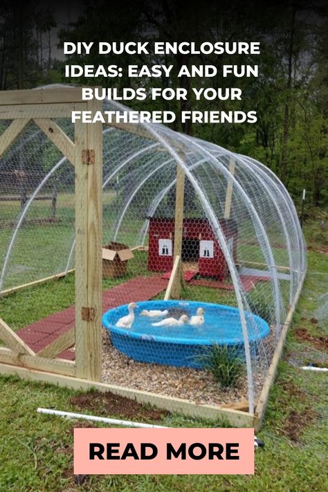 A homemade duck enclosure with a wooden frame and wire mesh, featuring a small pond and a red duck house amidst a grassy backyard. Geese Coop Diy, Duck Habitat Diy, Diy Duck Brooder Ideas, Duck Coop Accessories, Duck Toys For Coop, Runner Duck Enclosure, Duck Pens Ideas, Duck Coops Diy, Runner Duck Coop Ideas