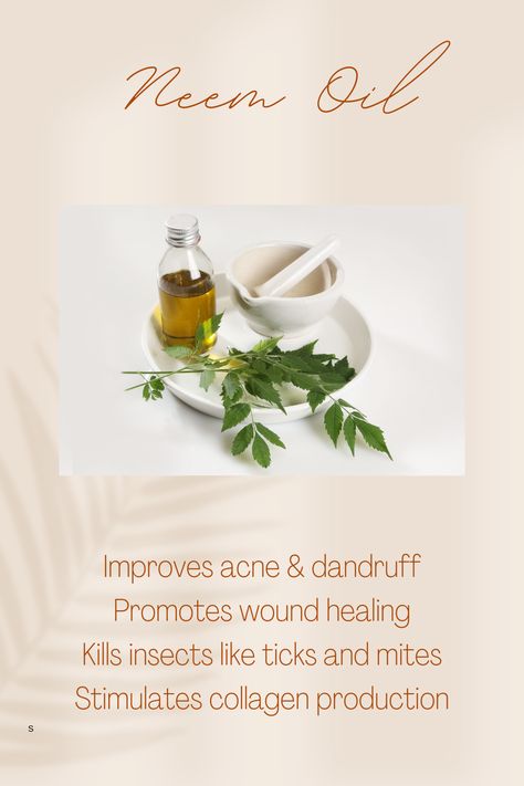 Neem oil can be used on your skin, hair, pets and even plants as a natural insecticide. When using on your skin, it can help treat acne and diminish wrinkles due to its ability to boost collagen. It also helps your hair by getting rid of that annoying dandruff. Neem oil is an insect repellent that kills mites, fleas and ticks and it can be used as a spray on your pets or even as a natural insecticide in your garden. Neem Oil For Hair, Coconut Tea, Natural Insecticide, Oil For Skin, Boost Collagen, Treat Acne, Essential Oil Benefits, Carrier Oil, Neem Oil