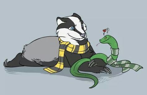 Badger snake love Imprimibles Harry Potter, Slytherin And Hufflepuff, Hufflepuff Aesthetic, Slytherin Pride, Harry Potter Hufflepuff, Harry Potter Houses, Hogwarts Mystery, Harry Potter Love, Harry Potter Fan Art