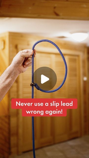 88K views · 3.4K likes | Steve Del Savio on Instagram: "Quick video on how to put on a slip lead depending on what side you plan to walk your dog on. If you need one, we have them on: LealtaPets.com  The slip lead is my go to leash when working with dogs. It’s simple as it’s just a rope and it allows for an increase of pressure and decrease of pressure for communication.  This leash does require skill to use and I would not suggest for a novice handler and a unruly dog on leash.   I will continue making videos about how to use a slip lead so you have a better understanding of how to put it on, how to apply pressure, how much pressure, the angles to move the leash depending on the movement you want, etc.  Consider using the figure-8 option of the slip lead we have on Lealta website before g How To Train A Dog To Walk On A Leash, How To Teach Dog Not To Pull On Leash, Teach Puppy To Walk On Leash, Diy Slip Lead Dog Leash, Dog Leash Diy, Dog Training Walking On Leash, Slip Leads For Dogs, Dog Slip Lead, Dog Show Leads