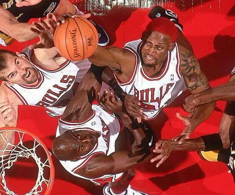 galerias de arte | Dennis Rodman Denis Rodman, Mike Friends, Michael Jordan Photos, Michael Jordan Basketball, I Love Basketball, Michael Jordan 23, Basketball Photography, Ball Is Life, Chicago Sports