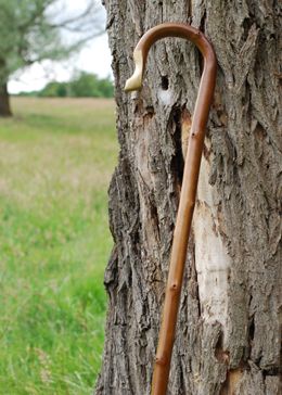 Spare the Rod, Spoil the Child Jean Henri Fabre, Lizzie Hearts, Spoiled Kids, Irish Cottage, English Village, Walking Sticks And Canes, Shepherds Hook, Shepherds Hut, Little Bo Peep