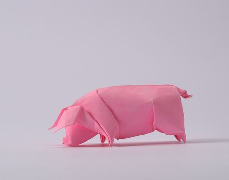 Origami Pig, Origami Yoda, Origami Diagrams, Origami Videos, Origami For Beginners, Origami Dragon, Fabric Origami, Origami Fish, Origami Love