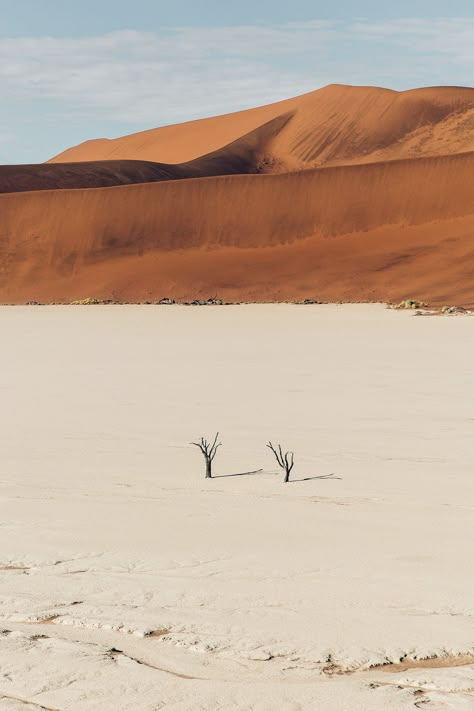 Sossusvlei Namibia, Namibia Desert, Namibia Travel, African Travel, Desert Life, Austria Travel, Africa Safari, Perfect Itinerary, Trip Itinerary