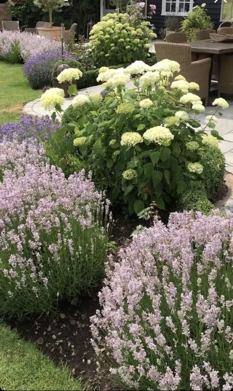 Front Door Landscaping, Cape Cod Landscaping, Dreamy Gardens, Front Yard Garden Design, Easy Landscaping, Front Landscaping, Backyard Inspo, Home Landscaping, Front Yard Garden