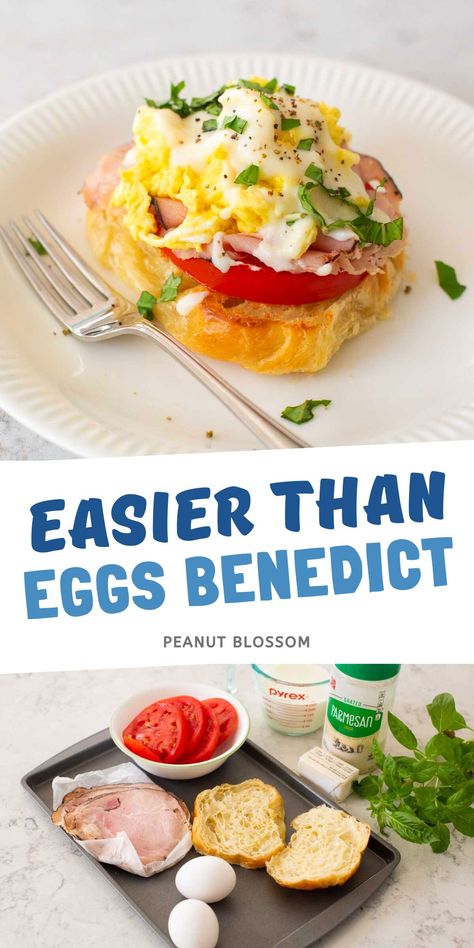 Easy Eggs Benedict {20 Simple Variations} Eggs Benedict Variations, Easy Eggs Benedict Recipe, Easy Eggs Benedict, Benedict Recipe, Eggs Benedict Recipe, Peanut Gallery, Egg Benedict, Family Projects, Delicious Thanksgiving