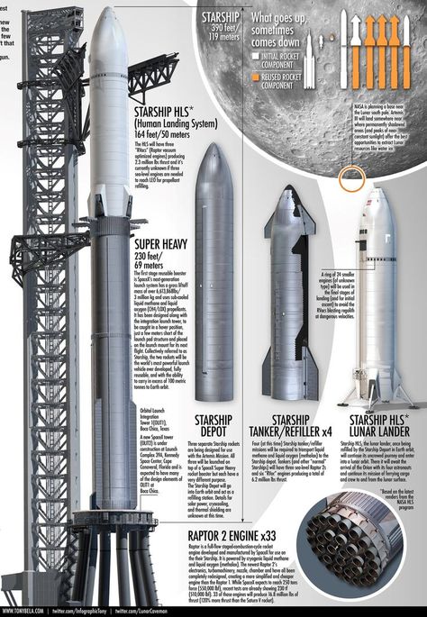 Artemis rockets (SLS & Starship) that will get us to the Moon - infographic by Tony Bela. Moon Infographic, Nasa Spacex, Surface Of The Moon, Spacex Rocket, Spacex Starship, Lunar Landing, Rocket Design, Aerospace Engineering, Spaceship Design