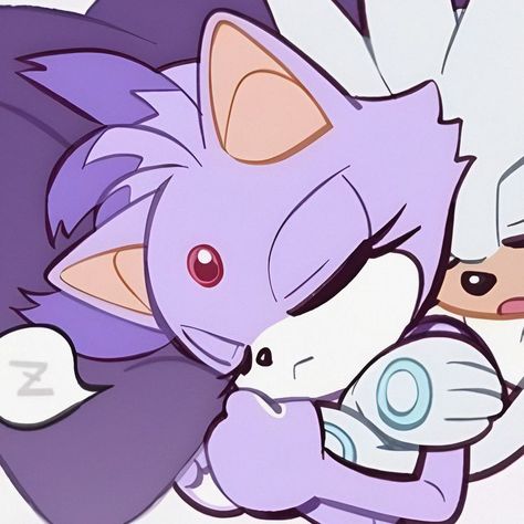 Rouge Amy And Blaze, Blaze And Silver Fanart, Silver The Hedgehog Matching Pfp, Sonic Couple Base, Amy X Sonic Matching Pfp, Silver And Blaze Fanart, Sonic And Silver Matching Pfp, Sonic Pfps Matching, Sonic Silver Fanart