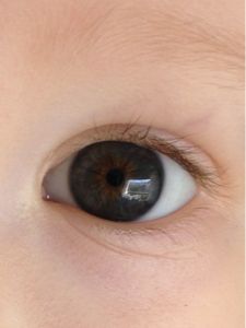 Grey and brown eyes? - August 2013 Babies | Forums | What to Expect Dark Grey Eyes, Book Pic, Brown Eyes Aesthetic, Angelic Aesthetic, Grey Eyes, Books Ideas, Korean Eye Makeup, Baby Eyes, Makeup Accesories