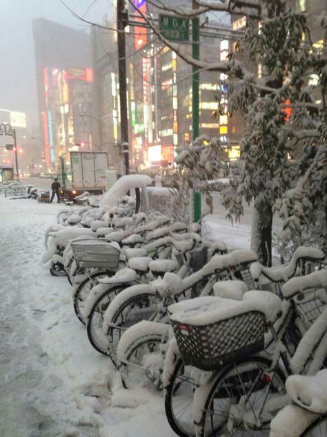 Snow In Tokyo, Christmas In Japan Aesthetic, Tokyo Winter Aesthetic, Japan Weather, Tokyo In Winter, Tokyo Snow, Snow In Korea, Snow In Japan, Tokyo Winter