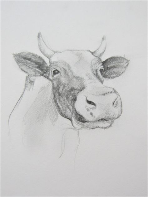 Drawing animals stretches far beyond popular drawings of cats and dogs. This realistic pencil sketch of a cow is a great example of new drawing ideas and pet portraiture that is different. #animals #drawinganimals #animalart #cows #cowdrawing #portrait #animalportraiture #drawing #sketching #sketchbook #realisticdrawings #cute #art #drawingidea Popular Drawings, Cow Faces, Fork Bow, Drawing Ideas Pencil, Pencil Drawings Of Nature, Cow Sketch, Pet Portraiture, Cow Drawing, Pencil Drawings Of Animals