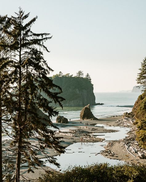 Pnw Living, Pnw Architecture, Washington Coast, Pnw Beach Aesthetic, Westport Washington, Pacific Northwest Beach Aesthetic, Washington State Nature, Washington State Scenery, Pnw Aesthetic