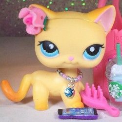 Lps Popular Brooke, Orange Short Hair, Lps Shorthair, Lps Drawings, Rare Lps, Lps Accessories, Lps Popular, Lps Cats, Evil Girl