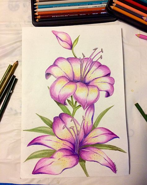 To finish.. (pencil and prisma colored pencils on paper...) by Danielle Colucci 2017 Flowers Drawing With Pencil Colors, Simple Coloured Pencil Drawings, Flower Painting Color Pencil, Color Pencil Sketch Flowers, Color Pencil Flower Art, Flower Sketches Colored Pencil, Color Pencil Sketch For Beginners, Flowers Color Pencil Drawing, Sketch Ideas Colored Pencil