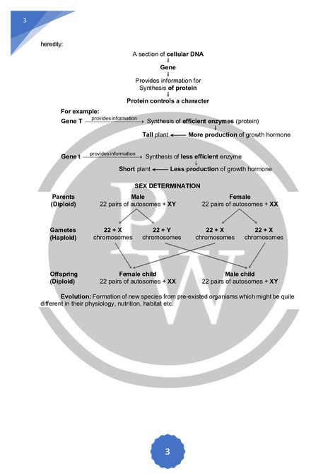 Heredity And Evolution Notes Class 10, Heredity Notes Class 10, Heredity And Evolution Notes, Heredity Notes, Boards Preparation, Heredity And Evolution, Academic Notes, Cell Biology Notes, Science Formulas