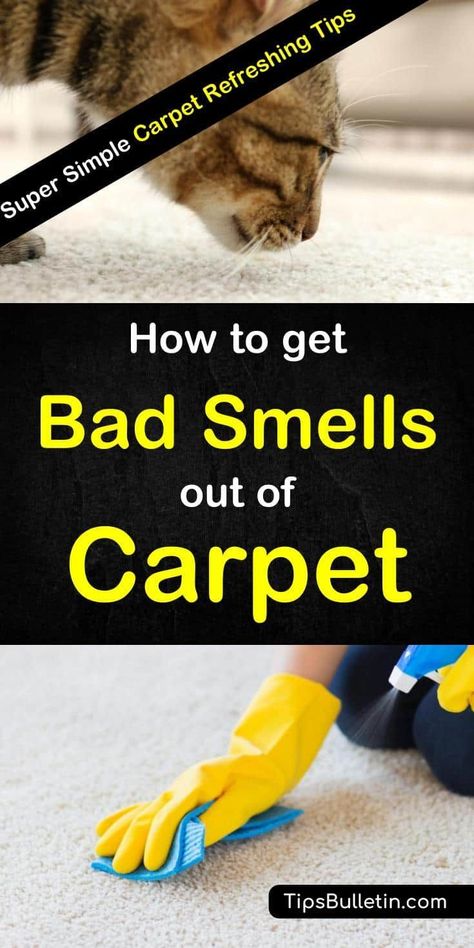 Hands-on tips for how to get bad smells and odors out of the carpet. Learn how to remove offensive smells like dog urine and pet odors using simple ingredients you can find in your pantry like white vinegar and baking soda. Get your carpets smelling great again. How To Get Rid Of Carpet Odor, How To Remove Pet Odor From Carpet, How To Get Rid Of Pee Smell In Carpet, Pet Oder In Carpet, Getting Rid Of Dog Urine Smell In Carpet, How To Remove Smell From Carpet, Remove Vomit Smell From Carpet, Carpet Smell Remover, How To Clean Pet Urine From Carpet