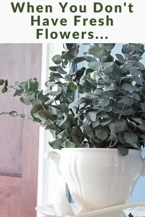 Decorating With Eucalyptus Branches, Faux Eucalyptus Arrangement, Dry Eucalyptus Decor, Dried Eucalyptus Arrangement, Dried Eucalyptus Uses, Decorate With Eucalyptus, Dried Eucalyptus Decor, Decorating With Eucalyptus, Eucalyptus Decor