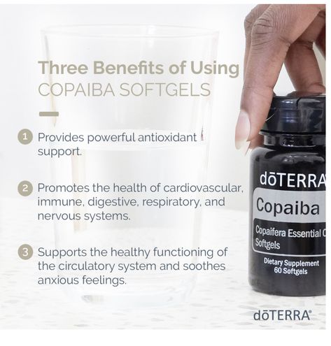 Doterra Copaiba, Copaiba Essential Oil, Doterra Oils, Circulatory System, Respiratory System, Free Product, Living A Healthy Life, Doterra Essential Oils, Respiratory