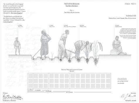 Sp Studio, Landscape Diagram, Frederick Law Olmsted, Landscape Architecture Graphics, Harvard Graduate, Architecture Mapping, Landscape Design Drawings, Section Drawing, 포트폴리오 레이아웃