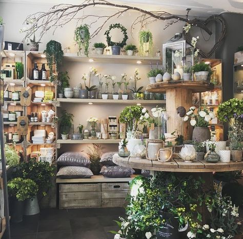 Plant Displays Retail, Inside Flower Shop, Summer Displays Retail, Summer Retail Display, Florist Shop Interior Inspiration, Plant Store Display, Flower Shop Interiors Design, Botanical Store, Small Flower Shop Interiors