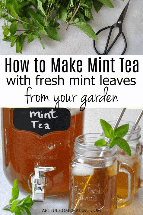 How to Make Mint Tea with Fresh Mint Leaves from your garden. This fresh mint tea is so easy to make, and only has a few ingredients! Healthy Summer Drink Recipes, Mint Recipes Fresh, Mint Tea Recipe, Healthy Summer Drinks, Fresh Mint Tea, Julep Recipe, Spearmint Tea, Homemade Tea, Herbal Teas Recipes