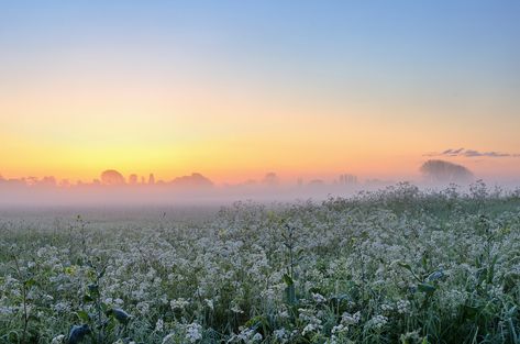 Misty Dawn | Another old shot. | David Dean | Flickr Baby Mango, Dawn Aesthetic, Dawn Pictures, Dawn Landscape, Misty Landscape, Dawn Sky, Holy Symbol, Core Aesthetics, Misty Dawn