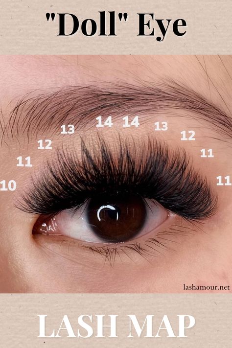 Try out this dolly eye lash map! #lashextensions Doll Eye Lash, Lashes Mapping, Eyelash Mapping, Lash Post, Lash Posts, Baby Doll Eyes, Lash Maps, Lash Map, Lashes Fake Eyelashes