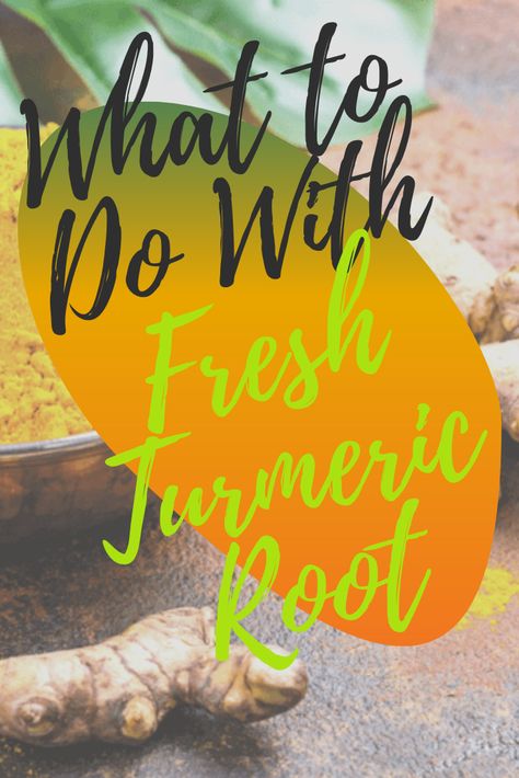 Using Fresh Turmeric, Raw Tumeric Recipe, Fresh Tumeric And Ginger Tea, How To Use Turmeric Root, Using Tumeric In Recipes, Ways To Use Turmeric, Ways To Use Tumeric, Tumeric Tea Recipe How To Make, How To Use Fresh Turmeric Root