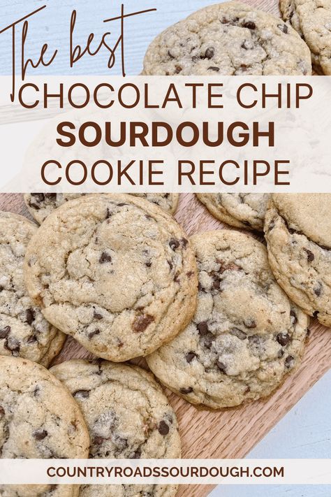 The Best Chocolate Chip Sourdough Cookies Boy Who Bakes Sourdough Cookies, The Best Sourdough Discard Chocolate Chip Cookies, Cookies From Sourdough Discard, Discarded Sourdough Starter Recipes Cookies, Sourdough Discard Recipes Chocolate Chip Cookies, Sour Dough Cookie Recipe, Sour Dough Discard Chocolate Chip Cookies, Easy Sourdough Cookie Recipes, Easy Sourdough Discard Chocolate Chip Cookies