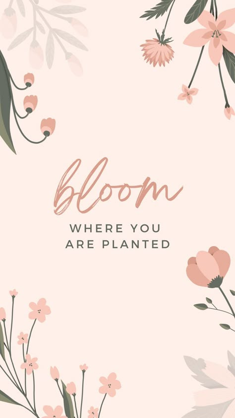 bloom where you are planted flower background Widget Motivation, Spring Widgets, Quotes For Wallpaper, Flower Lockscreen, Ipad Wallpaper Quotes, Background Instagram Story, Elegant Notebook, Birthday Cards To Print, Wedding Filters