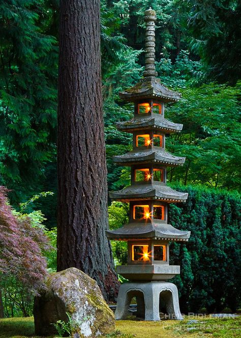 Refugio! Japanese Stone Lanterns, Pagoda Garden, Portland Japanese Garden, Pagoda Lanterns, Japanese Garden Design, Asian Garden, Outdoor Garden Lighting, Garden Lanterns, Chinese Garden