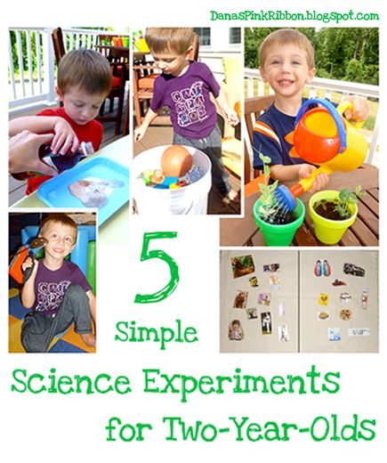 5 Simple Science Experiments for 2 Year Olds Bouncy Egg, Vetenskapliga Experiment, Kitchen Science Experiments, Toddler Science Experiments, Science For Toddlers, Science Experiments For Kids, Experiments Kids, Stem Ideas, Experiments For Kids