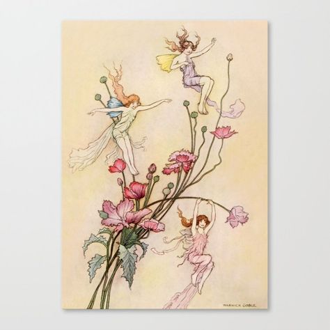 Warwick Goble, Baby Shower Party Invitations, Joy Art, Fairy Illustration, Vintage Fairy, Illustration Botanique, Pink Poppies, Vintage Fairies, Fairytale Art