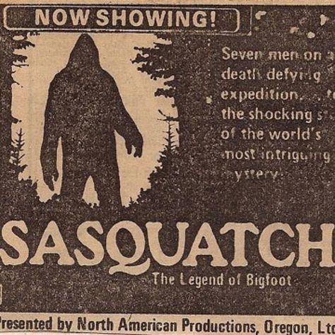 Sasquatch movie Cryptidcore Aesthetic, Bigfoot Art, The Adventure Zone, Dipper Pines, Paranormal Investigation, Ghost Hunting, X Files, Intj, Horror Stories