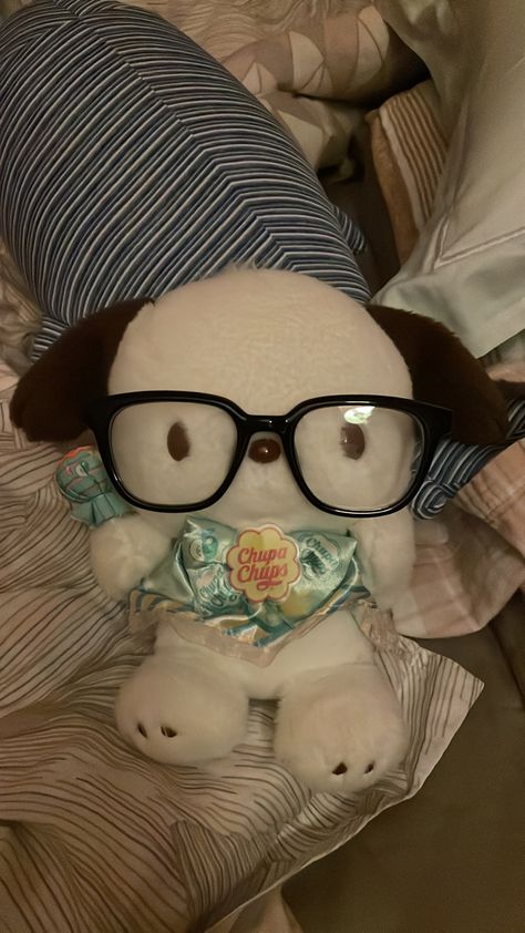 Sanrio With Glasses, Pochacco Aesthetic, Pochacco Wallpaper, Pochacco Plush, Aesthetic Objects, Stuff Animals, Hello Kitty Themes, Cool Paper Crafts, Pfp Ideas