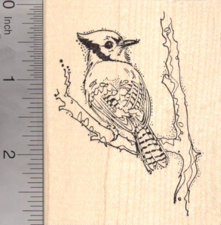 Blue Jay Rubber Stamp AKA North American Bluejay Bird >>> Find out more about the great product at the image link. Bluejay Bird, Bird Rubber Stamps, Woodcut Tattoo, Blue Jay Bird, Vintage Flash, Jay Bird, Pet Vet, Cute Tattoos For Women, Mythological Creatures