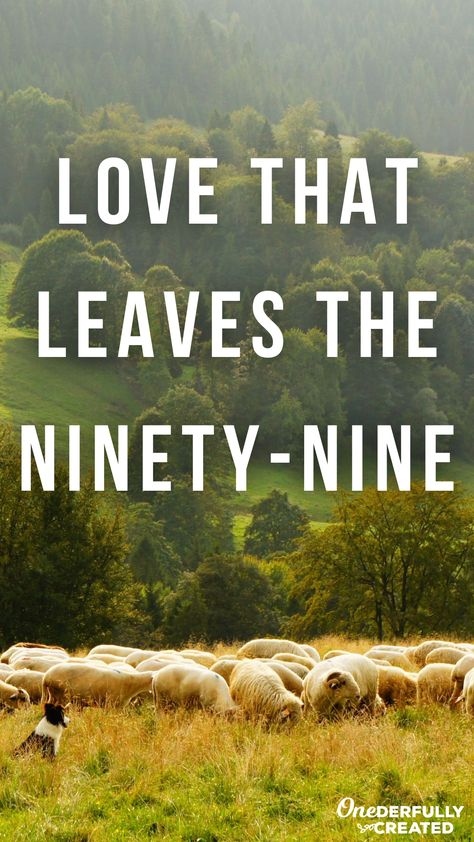 God's love is as reckless as a shepherd who leaves 99 healthy sheep to go after one lost sheep. How can we show that boundless love to those in our lives? The 99 Sheep Quotes, Valentine Lunch, Sheep Quote, 99 Sheep, Cory Asbury, Evangelism Quotes, Lds Talks, Sermon Ideas, Sunday Prayer