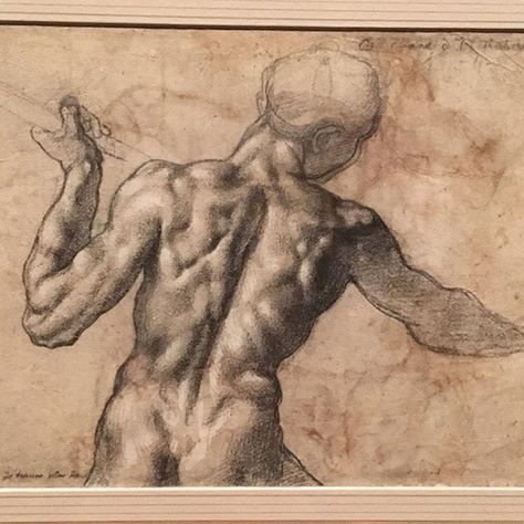 Study for the Battle of Cascina #metmichaelangelo #art #artist #genius #artinspo #artinspiration #drawing @metmuseum Michelangelo Art, Michael Angelo, Male Figure Drawing, Master Drawing, Human Figure Drawing, Anatomy Drawing, Caravaggio, Beautiful Drawings, Old Master