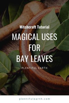 Spells For Success, Bay Leaves Uses, Burn Bay Leaves, Magickal Correspondences, Burning Bay Leaves, Bay Laurel, Magickal Herbs, Witch Herbs, Magic Herbs